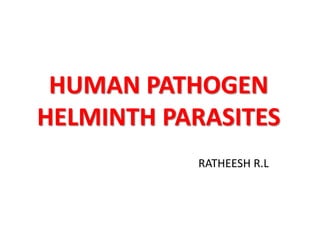 HUMAN PATHOGEN
HELMINTH PARASITES
RATHEESH R.L
 