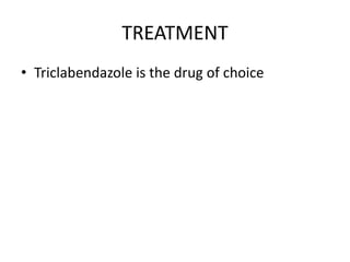 TREATMENT
• Triclabendazole is the drug of choice
 