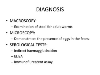DIAGNOSIS
• MACROSCOPY:
– Examination of stool for adult worms
• MICROSCOPY:
– Demonstrates the presence of eggs in the feces
• SEROLOGICAL TESTS:
– Indirect haemagglutination
– ELISA
– Immunoflurescent assay.
 