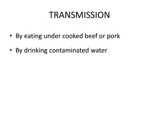 TRANSMISSION
• By eating under cooked beef or pork
• By drinking contaminated water
 