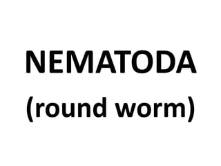 NEMATODA
(round worm)
 