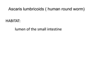 Ascaris lumbricoids ( human round worm)
HABITAT:
lumen of the small intestine
 