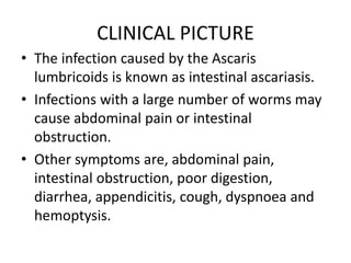 CLINICAL PICTURE
• The infection caused by the Ascaris
lumbricoids is known as intestinal ascariasis.
• Infections with a large number of worms may
cause abdominal pain or intestinal
obstruction.
• Other symptoms are, abdominal pain,
intestinal obstruction, poor digestion,
diarrhea, appendicitis, cough, dyspnoea and
hemoptysis.
 