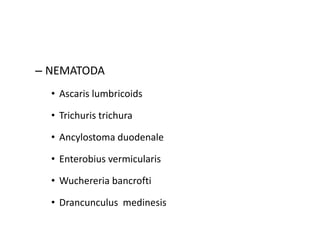 – NEMATODA
• Ascaris lumbricoids
• Trichuris trichura
• Ancylostoma duodenale
• Enterobius vermicularis
• Wuchereria bancrofti
• Drancunculus medinesis
 