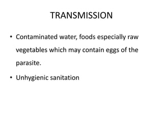TRANSMISSION
• Contaminated water, foods especially raw
vegetables which may contain eggs of the
parasite.
• Unhygienic sanitation
 