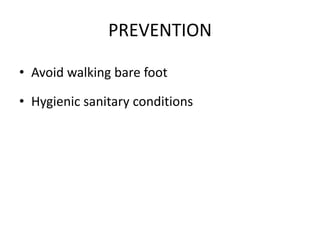 PREVENTION
• Avoid walking bare foot
• Hygienic sanitary conditions
 