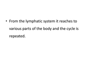 • From the lymphatic system it reaches to
various parts of the body and the cycle is
repeated.
 