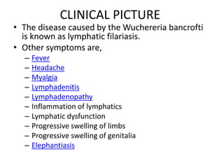 CLINICAL PICTURE
• The disease caused by the Wuchereria bancrofti
is known as lymphatic filariasis.
• Other symptoms are,
– Fever
– Headache
– Myalgia
– Lymphadenitis
– Lymphadenopathy
– Inflammation of lymphatics
– Lymphatic dysfunction
– Progressive swelling of limbs
– Progressive swelling of genitalia
– Elephantiasis
 