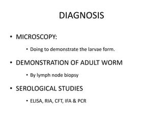 DIAGNOSIS
• MICROSCOPY:
• Doing to demonstrate the larvae form.
• DEMONSTRATION OF ADULT WORM
• By lymph node biopsy
• SEROLOGICAL STUDIES
• ELISA, RIA, CFT, IFA & PCR
 