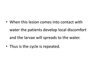 • When this lesion comes into contact with
water the patients develop local discomfort
and the larvae will spreads to the water.
• Thus is the cycle is repeated.
 