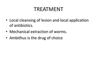 TREATMENT
• Local cleansing of lesion and local application
of antibiotics.
• Mechanical extraction of worms.
• Ambithus is the drug of choice
 