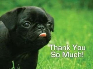 30. human pathogen  helminthic parasites