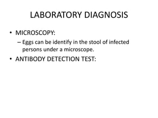 LABORATORY DIAGNOSIS
• MICROSCOPY:
– Eggs can be identify in the stool of infected
persons under a microscope.
• ANTIBODY DETECTION TEST:
 