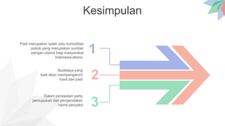 Kesimpulan
Padi merupakan salah satu komoditas
pokok yang merupakan sumber
pangan utama bagi masyarakat
Indonesia ations.
Budidaya yang
baik akan mempengaruhi
hasil dari padi
Dalam perawatan perlu
pemupukan dan pengendalian
hama penyakit
1
2
3
 