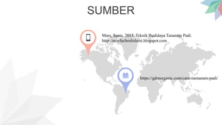 SUMBER
Mars, Santa. 2013. Teknik Budidaya Tanaman Padi.
http://newfachrulislami.blogspot.com
https://gdmorganic.com/cara-menanam-padi/
 