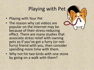 Playing with Pet
• Playing with Your Pet
• The reason why cat videos are
popular on the Internet may be
because of their s...