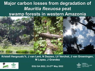 Kristell Hergoualc’h, J van Lent, N Dezzeo, LV Verchot, J van Groeningen,
M Lopez, J Grandez
Major carbon losses from degradation of
Mauritia flexuosa peat
swamp forests in western Amazonia
EGU GA 2022, 23-27th May 2022
 
