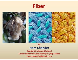 Fiber
By
Hem Chander
Assistant Professor (Botany)
Career Point University Hamirpur (HP) 176041
hemchander78@gmail.com
 