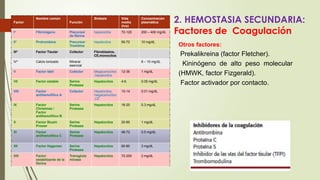 Factor
Nombre común
Función
Síntesis Vida
media
(hrs)
Concentración
plasmática
I* Fibrinógeno Precursor
de fibrina
hepatocitos 72-120 200 – 400 mg/dL
II* Protrombina Precursor
Trombina
hepatocitos 50-72 10 mg/dL
III* Factor Tisular Cofactor Fibroblastos,
CE,monocitos
IV* Calcio ionizado Mineral
esencial
8 – 10 mg/dL
V Factor lábil Cofactor Megacariocitos
,hepatocitos
12-36 1 mg/dL
VII Factor estable Serine
Protease
Hepatocitos 4-6 0.05 mg/dL
VIII Factor
antihemofílico A
Cofactor Hepatocitos,
megacariocitos
,CE
10-14 0.01 mg/dL
IX Factor
Christmas /
Factor
antihemofílico B
Serine
Protease
Hepatocitos 16-20 0.3 mg/dL
X Factor Stuart-
Prower
Serine
Protease
Hepatocitos 20-60 1 mg/dL
XI Factor
antihemofílica C
Serine
Protease
Hepatocitos 48-72 0.5 mg/dL
XII Factor Hageman Serine
Protease
Hepatocitos 60-80 3 mg/dL
XIII Factor
estabilizante de la
fibrina
Transgluta
minase
Hepatocitos 72-200 2 mg/dL
2. HEMOSTASIA SECUNDARIA:
Factores de Coagulación
Otros factores:
Prekalikreina (factor Fletcher).
Kininógeno de alto peso molecular
(HMWK, factor Fizgerald).
Factor activador por contacto.
 