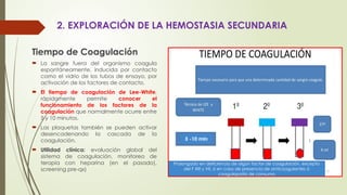 2. EXPLORACIÓN DE LA HEMOSTASIA SECUNDARIA
Tiempo de Coagulación
 La sangre fuera del organismo coagula
espontáneamente, inducida por contacto
como el vidrio de los tubos de ensayo, por
activación de los factores de contacto.
 El tiempo de coagulación de Lee-White,
rápidamente permite conocer el
funcionamiento de los factores de la
coagulación que normalmente ocurre entre
5 y 10 minutos.
 Las plaquetas también se pueden activar
desencadenando la cascada de la
coagulación.
 Utilidad clínica: evaluación global del
sistema de coagulación, monitoreo de
terapia con heparina (en el pasado),
screening pre-qx)
5 -10 min
Prolongado en deficiencia de algún factor de coagulación, excepto
del F XIII y VII, ó en caso de presencia de anticoagulantes ó
coagulapatía de consumo
 