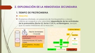 2. EXPLORACIÓN DE LA HEMOSTASIA SECUNDARIA
1. TIEMPO DE PROTROMBINA
 PRINCIPIO:
 El plasma citratado, en presencia de tromboplastina y cloruro
cálcico se coagula a una velocidad dependiente de las actividades
de la protrombina (factor II), factor V,VII,X y el fibrinógeno, siempre
que no exista inhibidores de la reacción.
Poner en marcha el
cronómetro
0.2ml,tromborel, PC baño
maría
0.1ml plasma , incuba
37ºcx1´
 