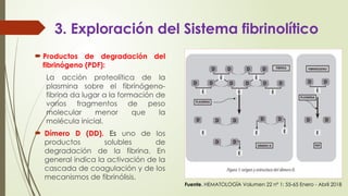 3. Exploración del Sistema fibrinolítico
 Productos de degradación del
fibrinógeno (PDF):
La acción proteolítica de la
plasmina sobre el fibrinógeno-
fibrina da lugar a la formación de
varios fragmentos de peso
molecular menor que la
molécula inicial.
 Dímero D (DD). Es uno de los
productos solubles de
degradación de la fibrina. En
general indica la activación de la
cascada de coagulación y de los
mecanismos de fibrinólisis.
Fuente. HEMATOLOGÍA Volumen 22 nº 1: 55-65 Enero - Abril 2018
 