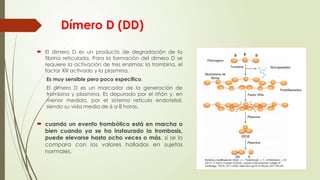 Dímero D (DD)
 El dímero D es un producto de degradación de la
fibrina reticulada. Para la formación del dímero D se
requiere la activación de tres enzimas: la trombina, el
factor XIII activado y la plasmina.
Es muy sensible pero poco específico.
El dímero D es un marcador de la generación de
trombina y plasmina. Es depurado por el riñón y, en
menor medida, por el sistema retículo endotelial,
siendo su vida media de 6 a 8 horas.
 cuando un evento trombótico está en marcha o
bien cuando ya se ha instaurado la trombosis,
puede elevarse hasta ocho veces o más, si se lo
compara con los valores hallados en sujetos
normales.
 