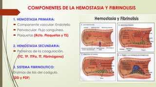 COMPONENTES DE LA HEMOSTASIA Y FIBRINOLISIS
1. HEMOSTASIA PRIMARIA:
 Componente vascular: Endotelio
 Perivascular: Flujo sanguíneo.
 Plaquetas (Rcto. Plaquetas y TS)
2. HEMOSTASIA SECUNDARIA:
 Proteínas de la coagulación.
(TC, TP, TTPa, TT, Fibrinógeno)
3. SISTEMA FIBRINOLITICO:
Enzimas de lisis del coágulo.
(DD y PDF)
 