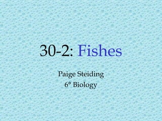 30-2:  Fishes Paige Steiding 6 ° Biology 