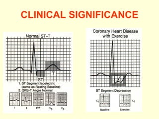 CLINICAL SIGNIFICANCE 