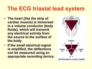 The ECG triaxial lead system The heart (like the strip of cardiac muscle) is immersed in a volume conductor (body fluids), which will transmit any electrical activity from the source to the surface of the body.  If the small electrical signal is amplified, the deflections can be measured using an appropriate recording device.  