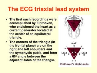 The ECG triaxial lead system The first such recordings were accomplished by Einthoven, who envisioned the heart as a current generator located at the center of an equilateral triangle. The corners of the triangle (in the frontal plane) are on the right and left shoulders and the symphysis pubis, and form a 60 o  angle between the adjacent sides of the triangle.  