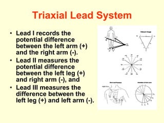 Triaxial Lead System Lead I records the potential difference between the left arm (+) and the right arm (-).  Lead II measures the potential difference between the left leg (+) and right arm (-), and  Lead III measures the difference between the left leg (+) and left arm (-).   