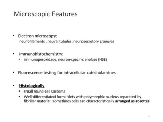 30-Childhood Solid Tumors (2).ppt. medical | PPT