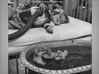 L’introduction des animaux en thérapie, 1956
 