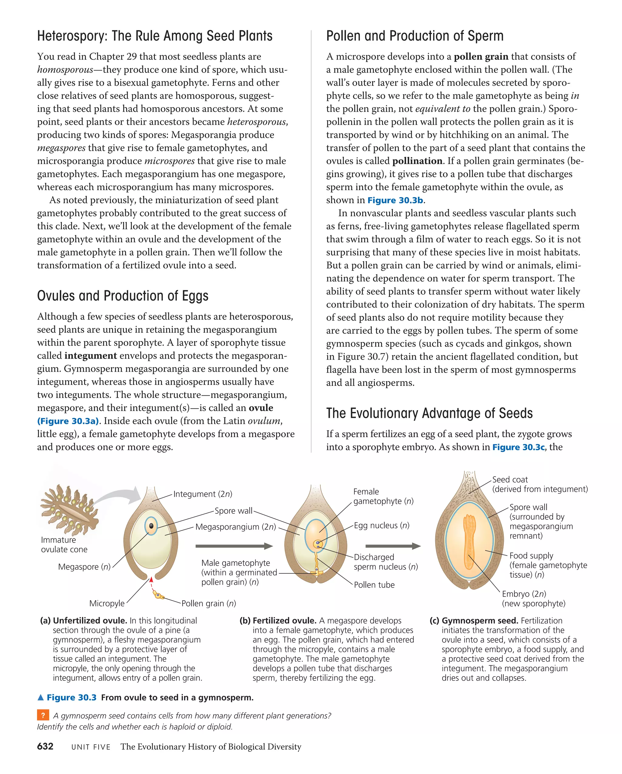 30 plant diversity ii-the evolution of seed plants | PDF