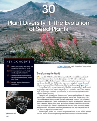 30 plant diversity ii-the evolution of seed plants | PDF