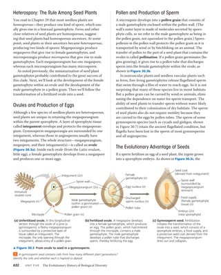 30 plant diversity ii-the evolution of seed plants | PDF