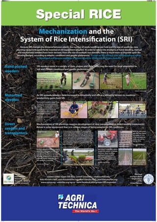 Mechanization and the
System of Rice Intensification (SRI)
Because SRI changes the distance between plants, the number of seeds/seedlings per hole and the age of seedlings, new
planting equipment needs to be invented or old equipment adapted. In order to reduce the drudgery of hand-weeding, manual
and mechanized weeders have been devised, from one row to multiple row weeders. There is much room to improve upon the
existing designs, according to edaphic conditions and gender preferences. To scale up SRI, efficient and solid equipment needs
to developed and become available at farmers’ levels in Africa, Asia and Latin America.

Hand pushed
weeders

SRI weeders come in a variety of sizes, shapes and style, reflecting the need for local adaptation to
soil and climate conditions and gender preferences:
After testing many models,
the weeder that was the
lightest, easiest to make, most
effective, and simplest of all:
the nail weeder on right

Women prefer
light weeders,
so do the men

A simple dryland
weeder model

(Source: sririce.org)

Motorized
weeders

As SRI spreads, weeders have increased in complexity and efficacy, allowing farmers to maximize
productivity gains from SRI.
Mechanical weeders range from
simple 1-2 row push machines
(above), to simple rotary weeders with a small engine, to more
complex and manufactured
multi-row weeders attached to
lightweight tractors.
(Source: right, Ariyaratna Subasinghe; sririce.org)

Direct
seeders and
transplanters

Mechanization of SRI plantings requires development of new transplanting or direct seeding implements.
Below is some equipment that is in various stages of being adapted to SRI conditions.
Drum seeder

A conventional rice transplanter in Iraq transplants
several seedlings/hole. Adjusting the machine to transplant a single seedling is a challenge. These machines
are also delicate and expensive, and thus not appropriate for many smallholder-farming environments in the
tropics. We believe that vegetable transplanters might
be easier to adapt to the SRI system, and also cheaper
and more robust than the current rice transplanters.
The example from Pakistan is a good inspiration (photos on the right).
(Source: Khidir A. Hammed)

In many upland conditions, direct
seeding is more appropriate than
transplanting. This drum seeder
spaces rows evenly, but number
of seeds per pocket and distance
between plants within the line is
not optimally controlled.
(Source: sririce.org)

The SRI
International
Network and
Resources Center at
Cornell University

Poster 6.indd 1

Conventional transplanter

SRI transplanter

Permanent beds
after machine
transplanting

Asif Sharif’s precision mechanized SRI system in Punjab,
Pakistan: laser levelling;
permanent raised beds;
transplanted with precise
spacing; machine weeded.
(Source: Asif Sharif)

Contact: Erika Styger (SRI-Rice, Cornell University), eds8@cornell.edu;
Amir Kassam (FAO), amir.kassam@fao.org; Josef Kienzle (FAO), josef.kienzle@fao.org;
www.sririce.org - www.fao.org/ag/ca - www.facebook.com/groups/SRI.innovators

Rice beds after
machine weeding

With his new methods Asif has tripled
his yields to 12.8
t/ha, and reduced
water use and labor by 70%.
(Source: Asif Sharif)

Permanent raised
beds during furrow watering

The Food
and Agriculture
Organization
of the
United Nations

10/30/13 11:32 AM

 