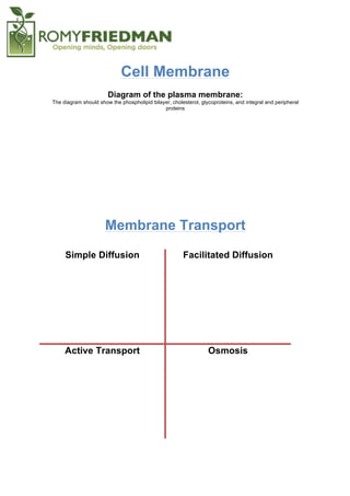  
	
  
Cell Membrane
	
  
Diagram of the plasma membrane:
The diagram should show the phospholipid bilayer, cholesterol, glycoproteins, and integral and peripheral
proteins
Membrane Transport
Simple Diffusion Facilitated Diffusion
Active Transport Osmosis
 