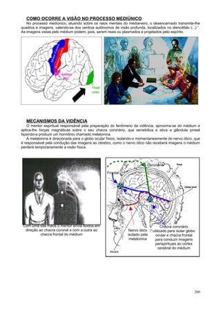 COMO OCORRE A VISÃO NO PROCESSO MEDIÚNICO
   No processo mediúnico, atuando sobre os raios mentais do medianeiro, o desencarnado transmite-lhe
quadros e imagens, valendo-se dos centros autônomos de visão profunda, localizados no diencéfalo (...) “.
As imagens vistas pelo médium podem, pois, serem reais ou plasmados e projetados pelo espírito.




   MECANISMOS DA VIDÊNCIA
   O mentor espiritual responsável pela preparação do fenômeno da vidência, aproxima-se do médium e
aplica-lhe forças magnéticas sobre o seu chacra coronário, que sensibiliza e ativa a glândula pineal
fazendo-a produzir um hormônio chamado melatonina.
   A melatonina é direcionada para o globo ocular físico, isolando-o momentaneamente do nervo ótico, que
é responsável pela condução das imagens ao cérebro, como o nervo ótico não receberá imagens o médium
perderá temporariamente a visão física.



                                                                          Coronário

                                                  Frontal




       Corpo         Perispírito     Mentor
      Médium          Médium        Espiritual




 Com uma das mãos o mentor envia fluidos em                                        Chacra coronário
  direção ao chacra coronal e com a outra ao                   Nervo ótico   utilizado para isolar globo
           chacra frontal do médium                           isolado pela     ocular e chacra frontal
                                                               melatonina     para conduzir imagens
                                                                              perispirituais ao córtex
                                                                                 cerebral do médium




                                                                                                       200
 