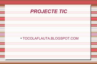 PROJECTE TIC ,[object Object]