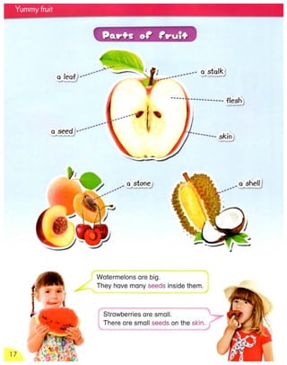 3000++words+for+writing+ +level+1