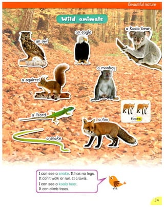 3000++words+for+writing+ +level+1