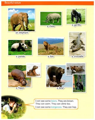 3000++words+for+writing+ +level+1