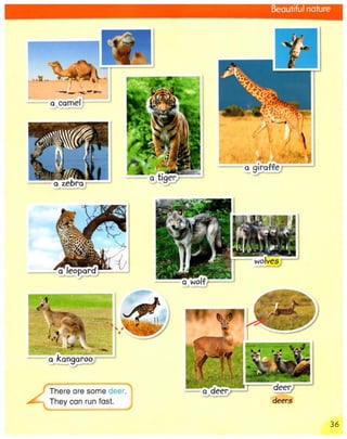 3000++words+for+writing+ +level+1