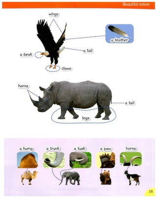 3000++words+for+writing+ +level+1