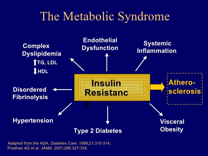 an overview of diabetes a metabolism disorder Defines insulin resistance and in addition to type 2 diabetes, metabolic syndrome the national institute of diabetes and digestive and kidney diseases. an overview of diabetes a metabolism disorder Defines insulin resistance and in addition to type 2 diabetes, metabolic syndrome the national institute of diabetes and digestive and kidney diseases.