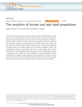 ARTICLE
Received 6 Feb 2015 | Accepted 4 Jun 2015 | Published 14 Jul 2015
The evolution of human and ape hand proportions
Sergio Alme´cija1,2,3, Jeroen B. Smaers4 & William L. Jungers2
Human hands are distinguished from apes by possessing longer thumbs relative to ﬁngers.
However, this simple ape-human dichotomy fails to provide an adequate framework for
testing competing hypotheses of human evolution and for reconstructing the morphology of
the last common ancestor (LCA) of humans and chimpanzees. We inspect human and
ape hand-length proportions using phylogenetically informed morphometric analyses and
test alternative models of evolution along the anthropoid tree of life, including fossils like
the plesiomorphic ape Proconsul heseloni and the hominins Ardipithecus ramidus and
Australopithecus sediba. Our results reveal high levels of hand disparity among modern
hominoids, which are explained by different evolutionary processes: autapomorphic evolution
in hylobatids (extreme digital and thumb elongation), convergent adaptation between
chimpanzees and orangutans (digital elongation) and comparatively little change in gorillas
and hominins. The human (and australopith) high thumb-to-digits ratio required little change
since the LCA, and was acquired convergently with other highly dexterous anthropoids.
DOI: 10.1038/ncomms8717 OPEN
1 Center for the Advanced Study of Human Paleobiology, Department of Anthropology, The George Washington University, Washington, DC 20052, USA.
2 Department of Anatomical Sciences, Stony Brook University, Stony Brook, New York 11794, USA. 3 Institut Catala` de Paleontologia Miquel Crusafont (ICP),
Universitat Auto`noma de Barcelona, Ediﬁci Z (ICTA-ICP), campus de la UAB, c/ de les Columnes, s/n., 08193 Cerdanyola del Valle`s (Barcelona), Spain.
4 Department of Anthropology, Stony Brook University, Stony Brook, New York 11794, USA. Correspondence and requests for materials should be addressed
to S.A. (email: sergio.almecija@gmail.com).
NATURE COMMUNICATIONS | 6:7717 | DOI: 10.1038/ncomms8717 | www.nature.com/naturecommunications 1
& 2015 Macmillan Publishers Limited. All rights reserved.
 