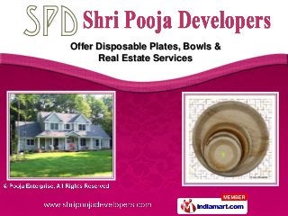 Offer Disposable Plates, Bowls &
      Real Estate Services
 